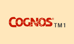 Cognos-TM1